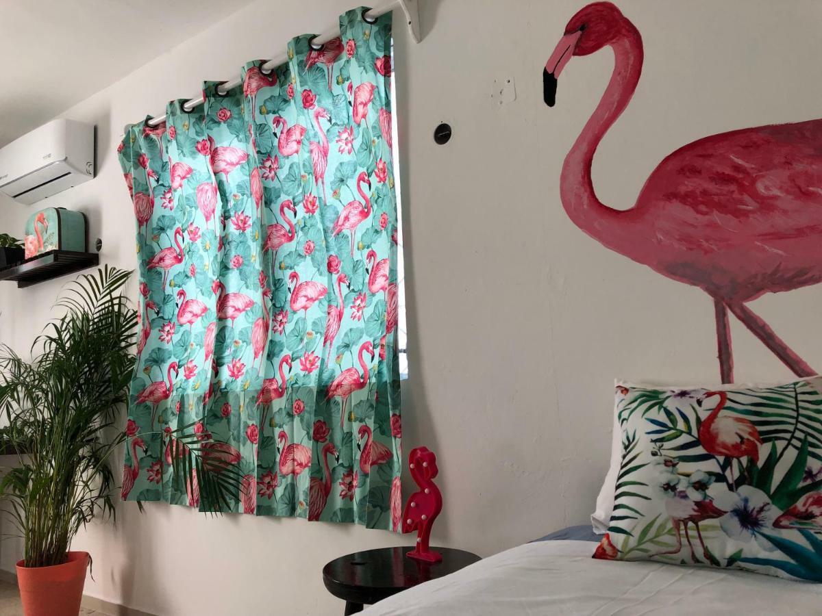 ホテル Casa Tropical カンクン エクステリア 写真